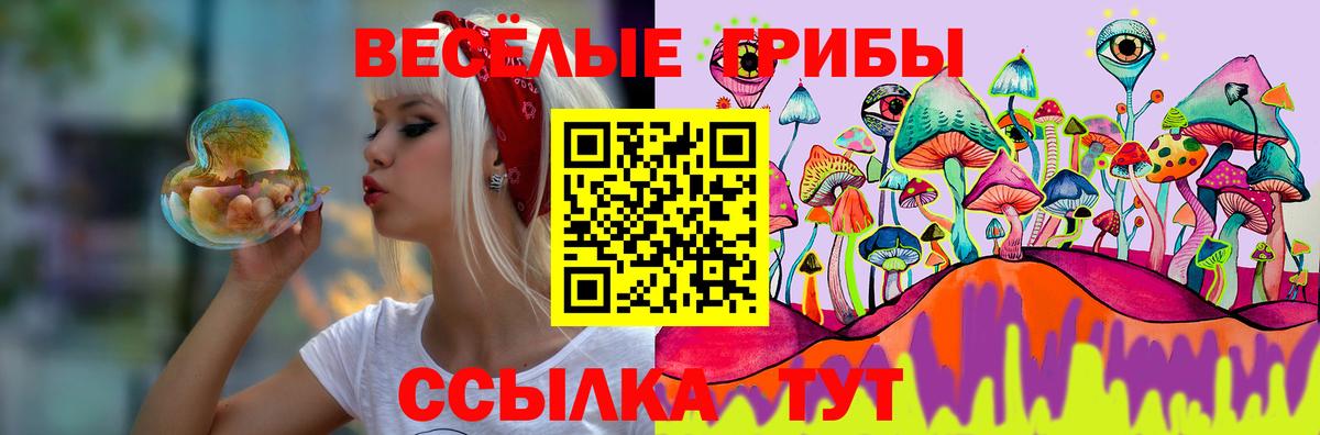 Петрозаводск  Галлюциногенные грибы мухоморы  Вход с VPN 